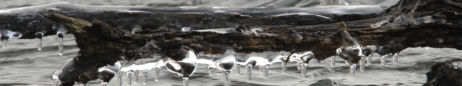 Ast mit Eiszapfen hängt über Wasser ©LfL bayern